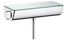 hansgrohe 13161000